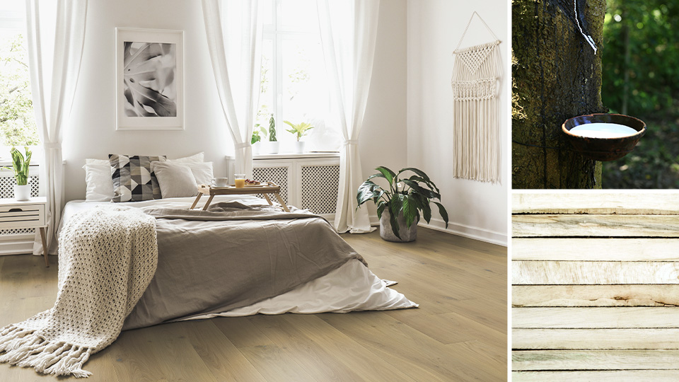 Hevea als Mittellage von 3-Schicht-Fertigparkett Landhausdielen: Collage aus Raumbild mit Bett und hellen Landhausdielen, ein Kautschukbaum, bei dem Latex gesammelt wird und Holzoberfläche aus Hevea.